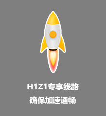 海豚H1Z1加速器专享线路