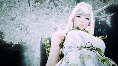 想玩黑色沙漠台服却怕卡?黑色沙漠台服加速器