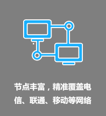 海豚H1Z1加速器节点加速