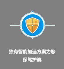 海豚H1Z1加速器智能加速
