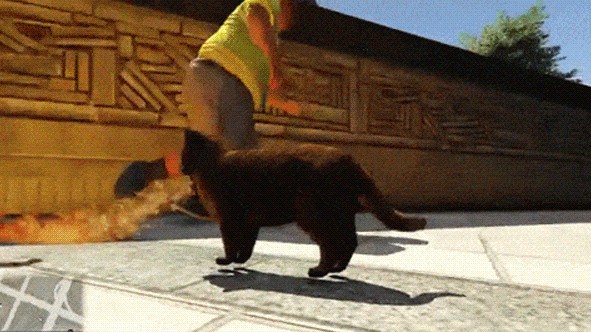 GTA5喷火猫